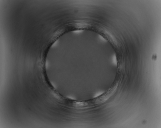 X0000102510277200809051417