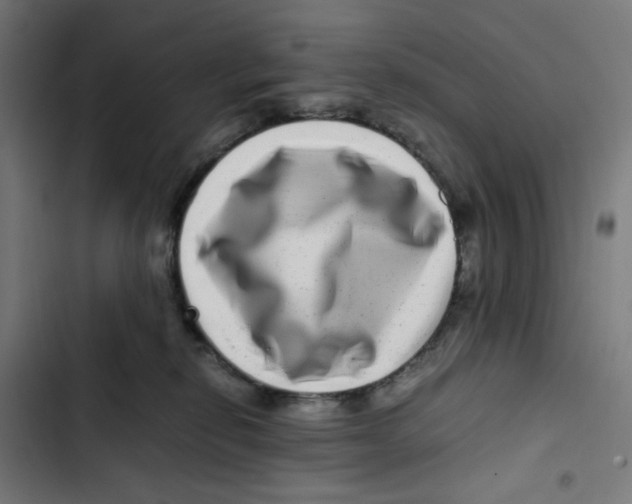 X0000102510278200809051417