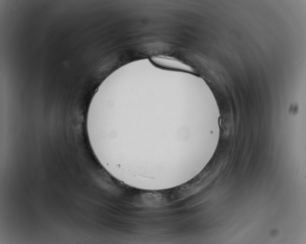 X0000102510279200809051417