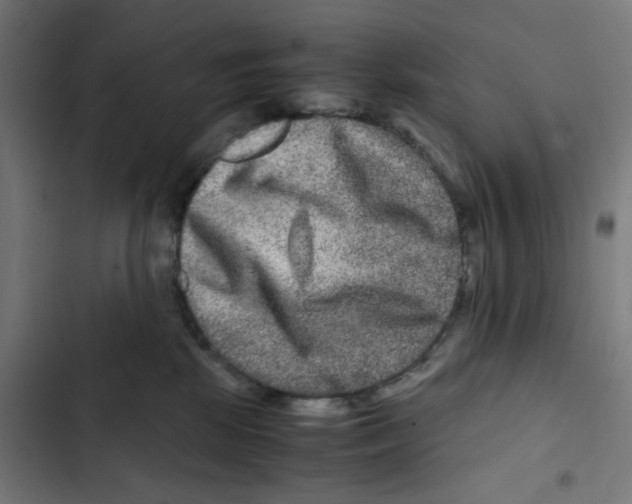 X0000102510281200809051417