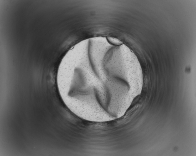 X0000102510282200809051417