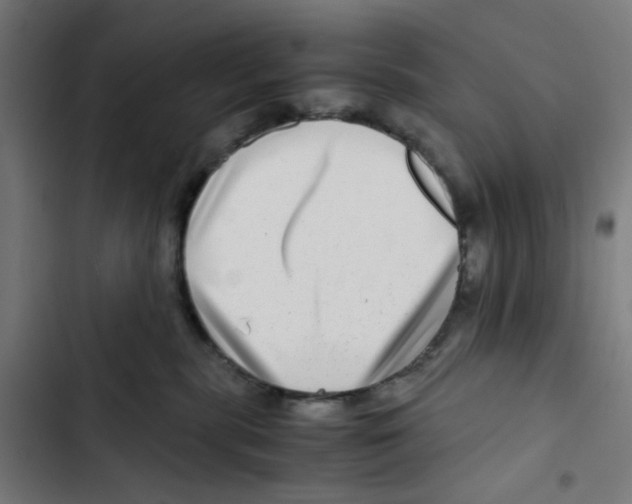 X0000102510283200809051417