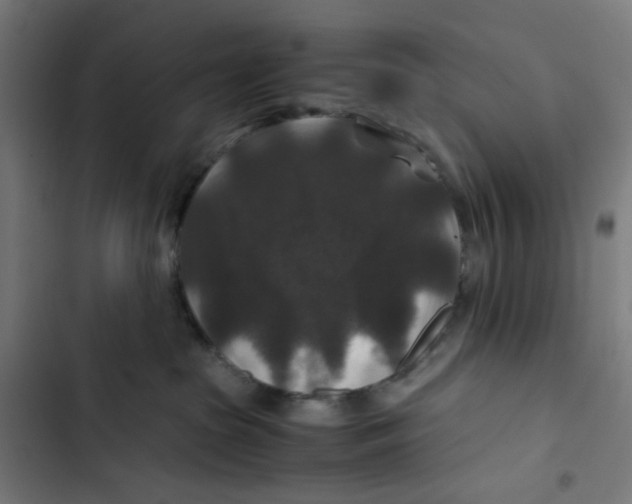 X0000102510285200809051418