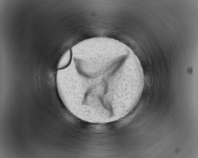 X0000102510286200809051418