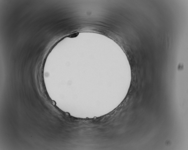 X0000102510289200809051417