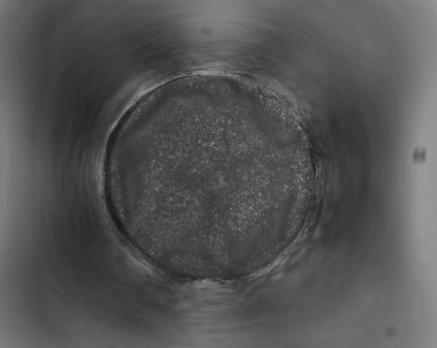 X0000102510290200809051417
