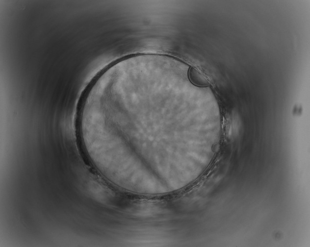X0000102510292200809051417