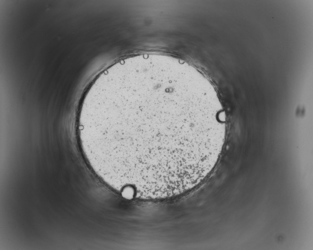 X0000102510293200809051417