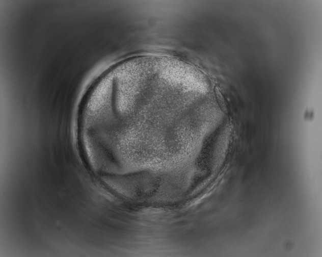 X0000102510294200809051417