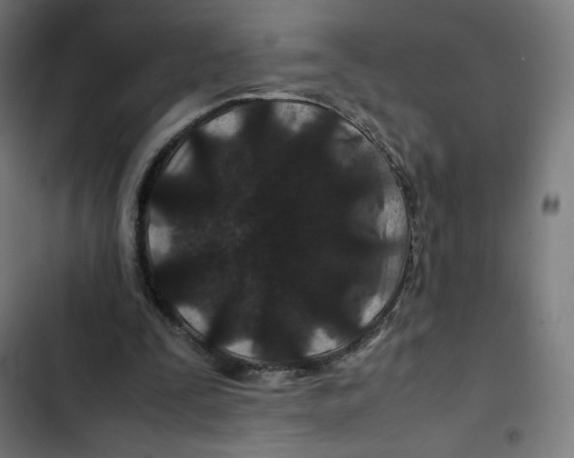 X0000102510295200809051417
