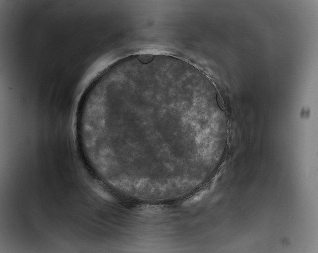 X0000102510296200809051417