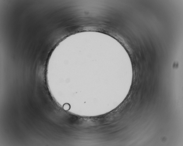 X0000102510297200809051417