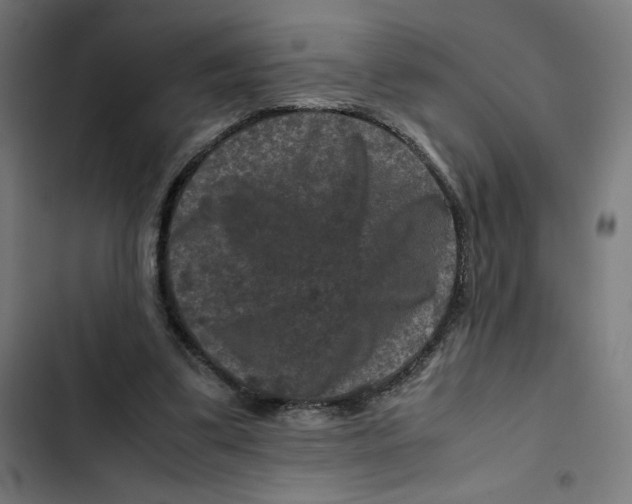 X0000102510299200809051417