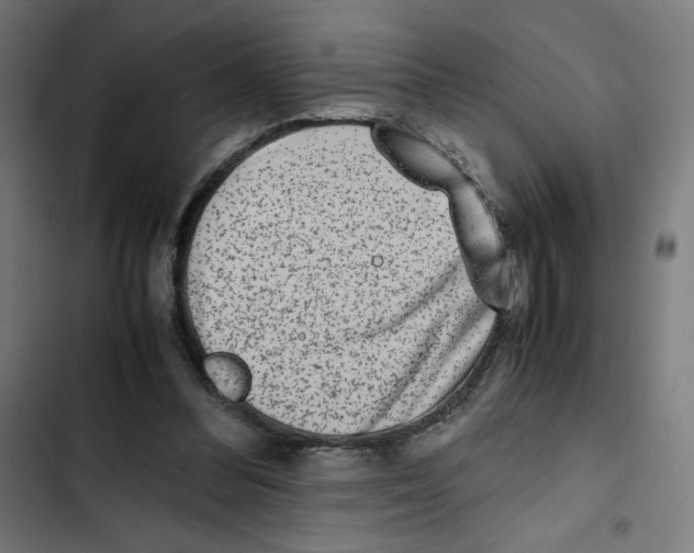 X0000102510300200809051417
