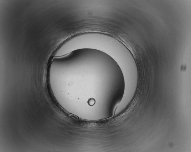 X0000102510301200809051417