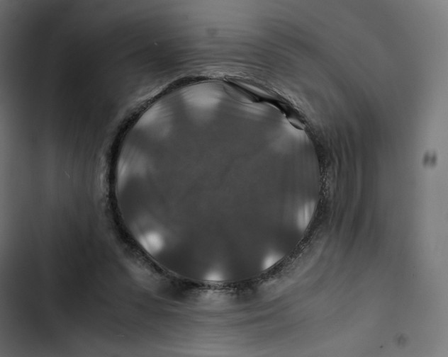 X0000102510303200809051416