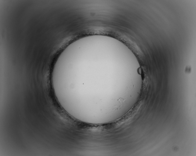 X0000102510306200809051416