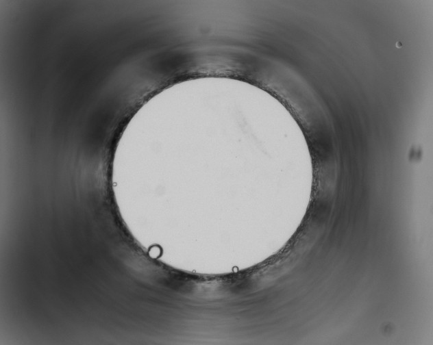 X0000102510309200809051416