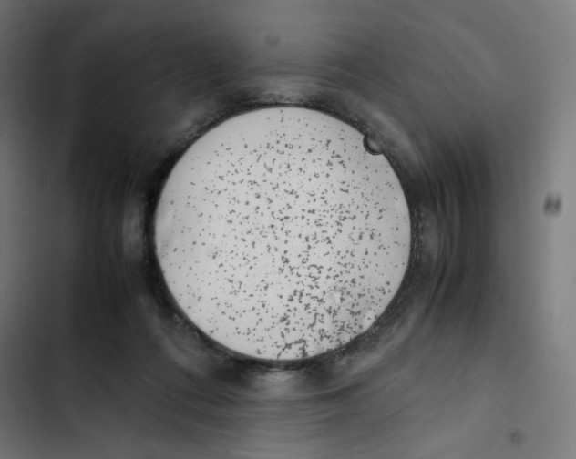 X0000102510312200809051416