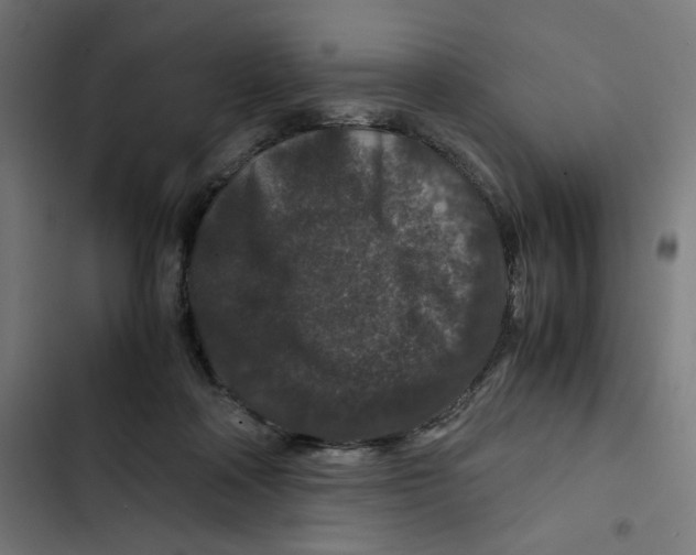 X0000102510314200809051416