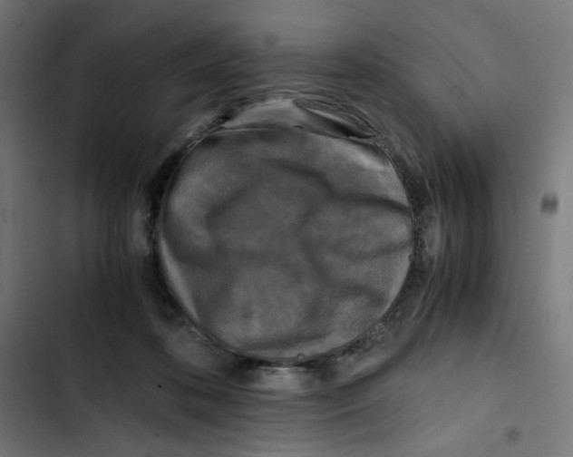X0000102510316200809051416
