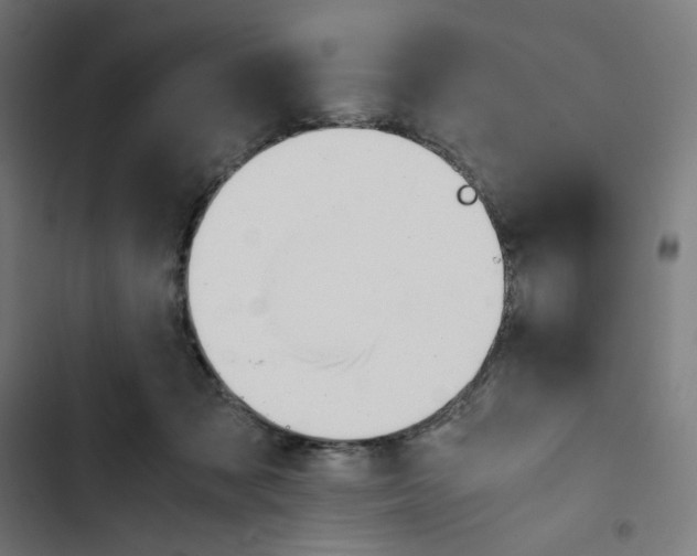 X0000102510317200809051416