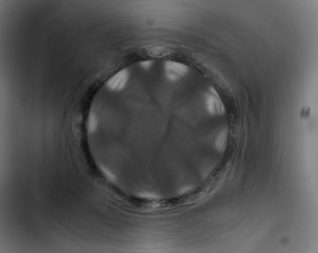 X0000102510319200809051416