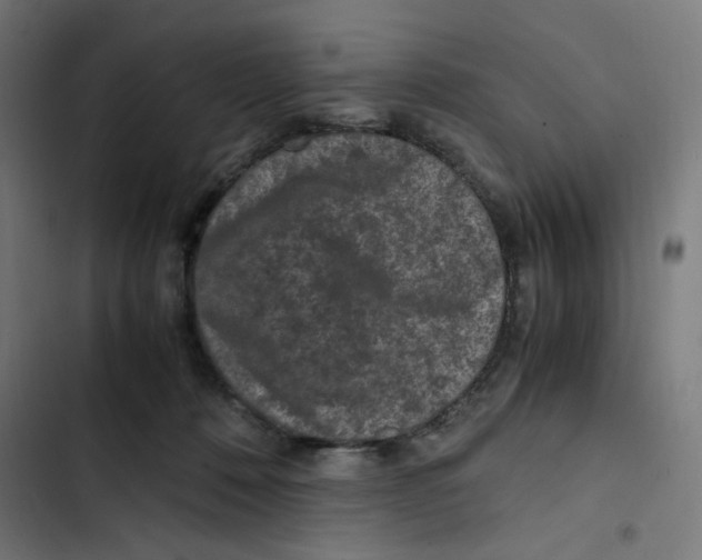 X0000102510320200809051416