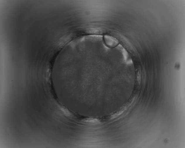 X0000102510322200809051416