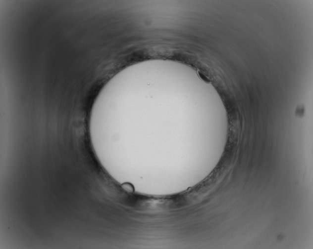 X0000102510323200809051416