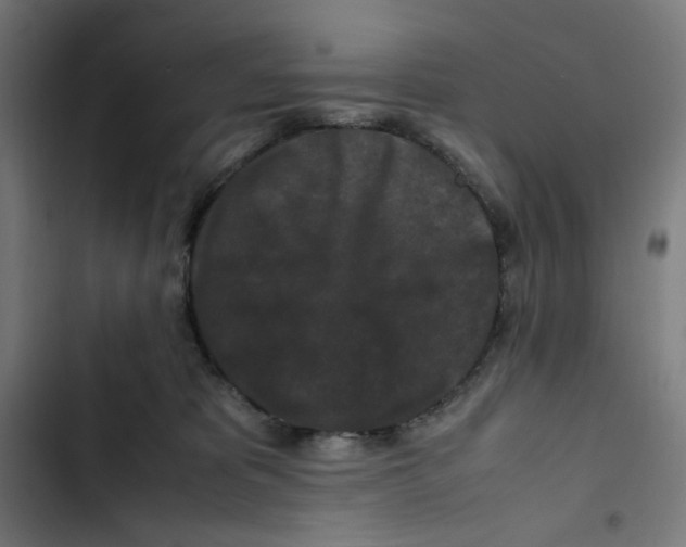 X0000102510325200809051416