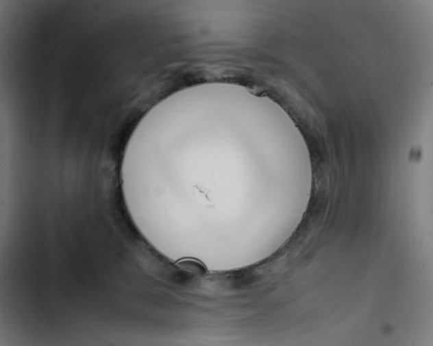X0000102510327200809051416