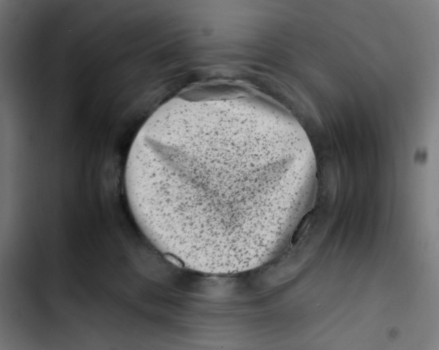 X0000102510328200809051416