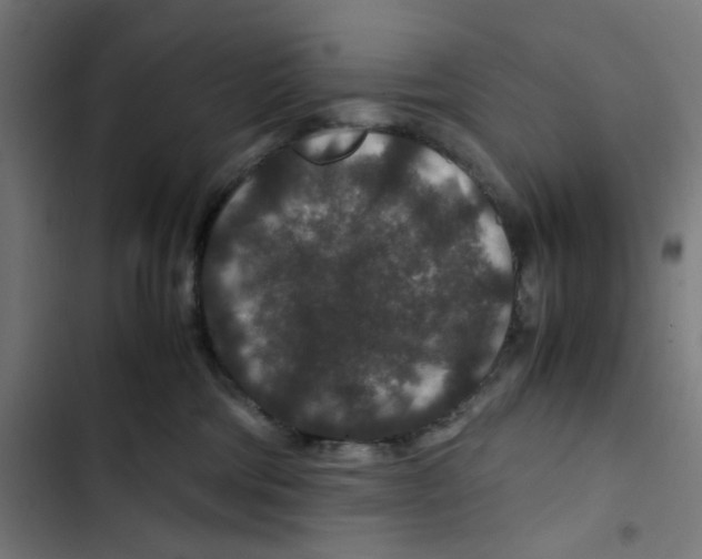 X0000102510330200809051416