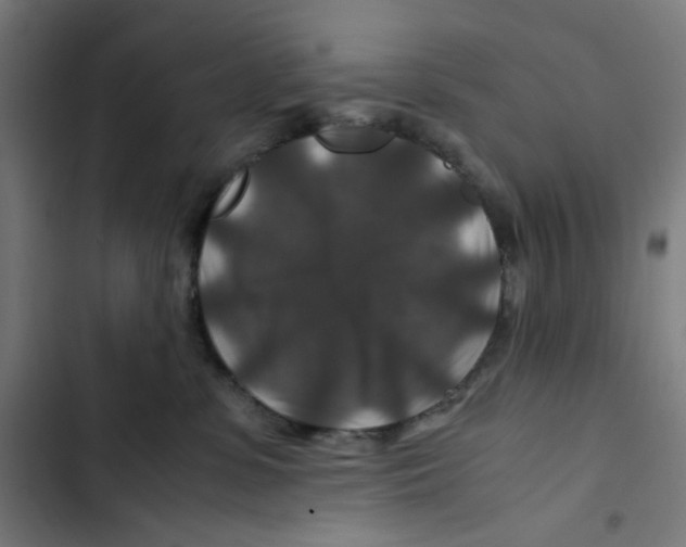 X0000102510331200809051416