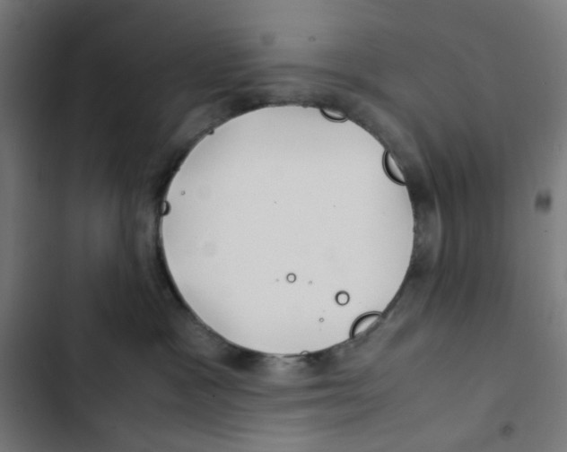 X0000102510333200809051416