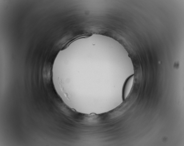 X0000102510334200809051416
