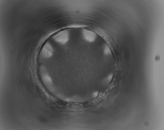 X0000102510337200809051415