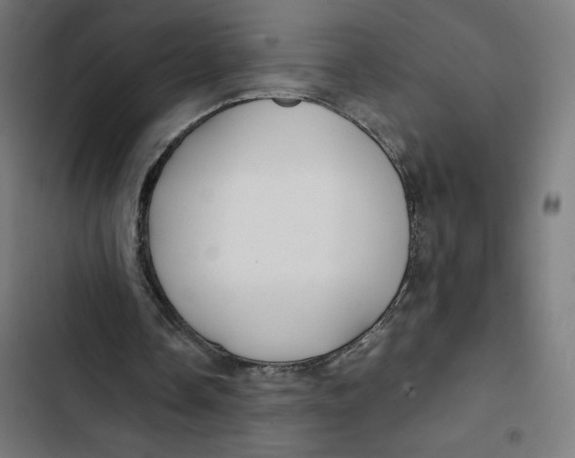 X0000102510338200809051415