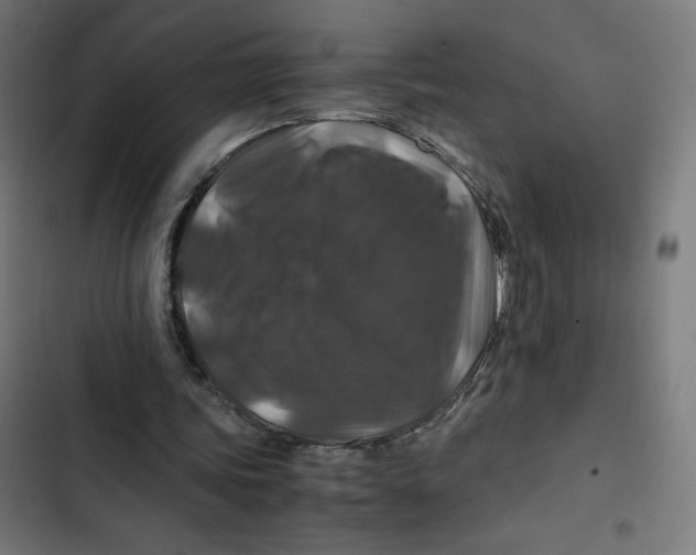 X0000102510339200809051415