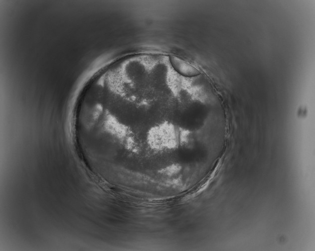 X0000102510343200809051415