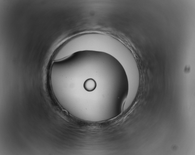 X0000102510344200809051415