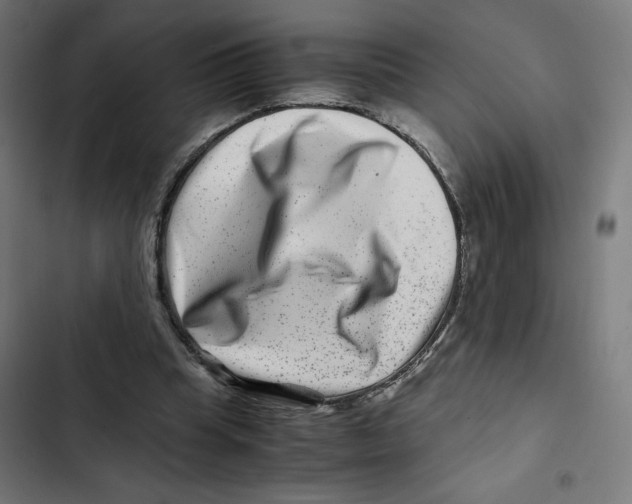 X0000102510345200809051415