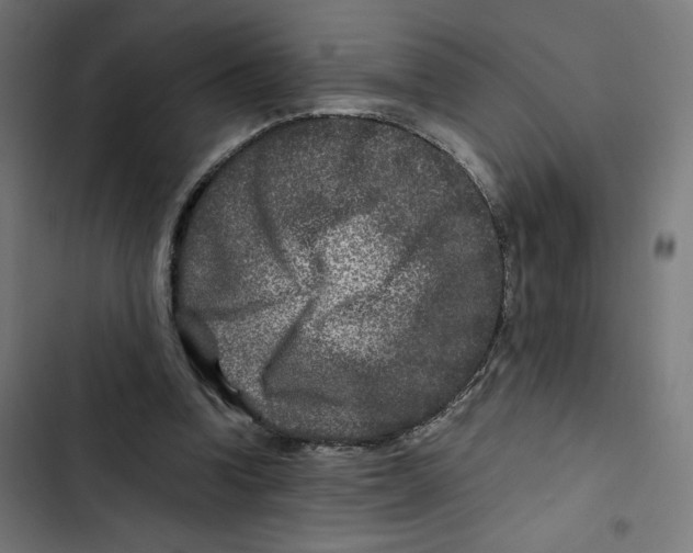 X0000102510346200809051415
