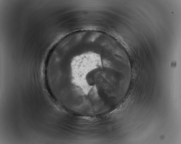 X0000102510347200809051415