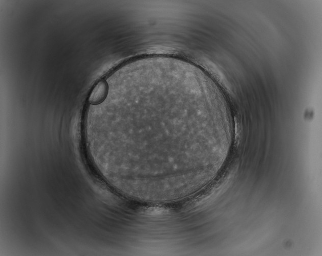 X0000102510348200809051415