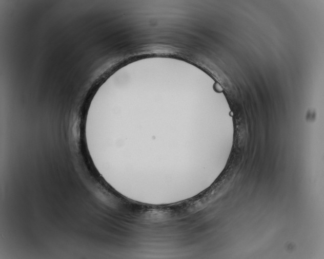 X0000102510350200809051415