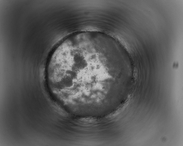 X0000102510351200809051415