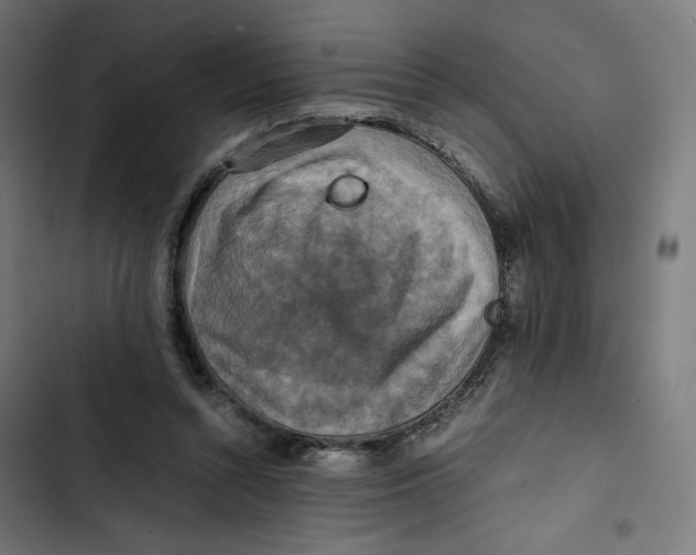 X0000102510352200809051415