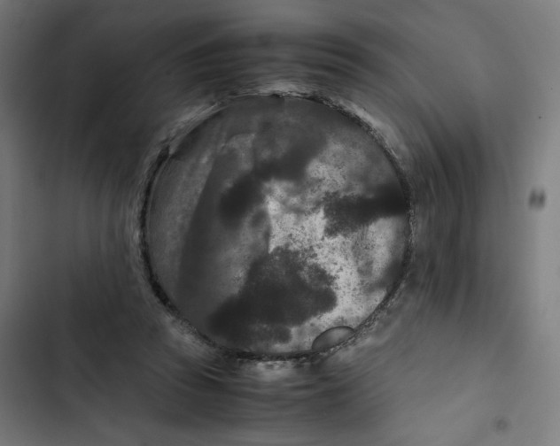 X0000102510353200809051415